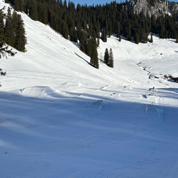 260227_Blick nach unten