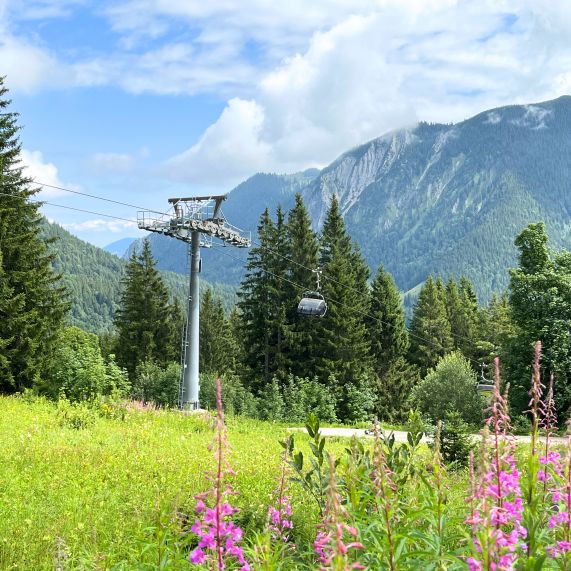 img-2827-bearbeitet-1