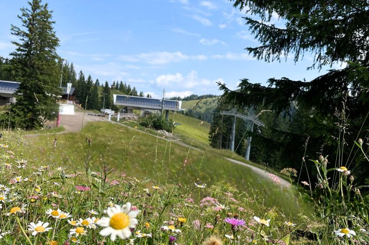 img-4613-bearbeitet-bearbeitet-2