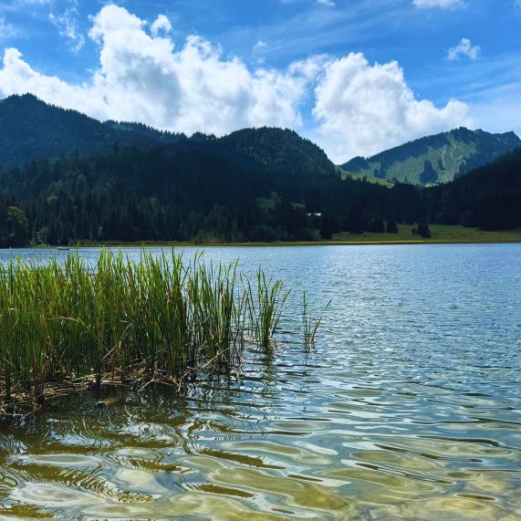 spitzingsee-see-1