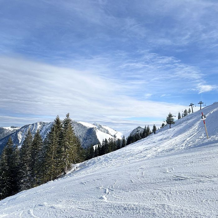 2024_ABSG_Julia Keck_verschneiter Aussicht (4)