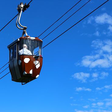 braune-kuhgondel-3