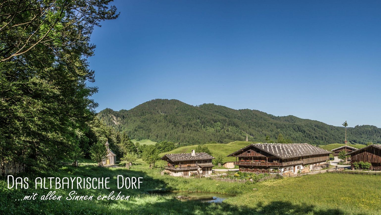 Dorf4-scaled